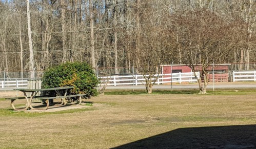 A picnic table sits on a grassy area with trees and a white fence in the background, under clear blue skies.