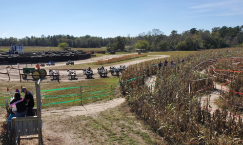 A go-kart track winding through a cornfield, with people watching from a nearby platform on a sunny day.
