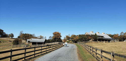 A gravel path leads through a farm with wooden fences, trees, and buildings under a clear blue sky.