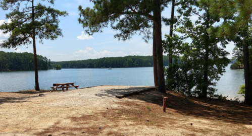 A serene lakeside view with a picnic table, surrounded by trees and a clear blue sky.