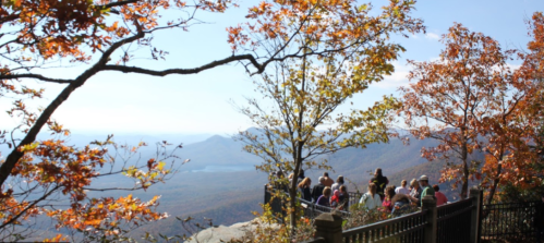A group of people enjoying a scenic view from a lookout point surrounded by autumn foliage.