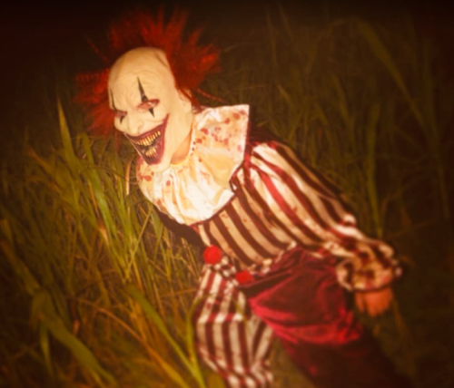 A creepy clown with a sinister smile, wearing a striped costume, lurking in tall grass at night.