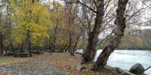 A serene riverside scene with autumn trees, picnic tables, and fallen leaves along a winding path.