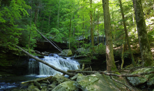 A serene waterfall cascades through lush green trees and rocky terrain in a tranquil forest setting.