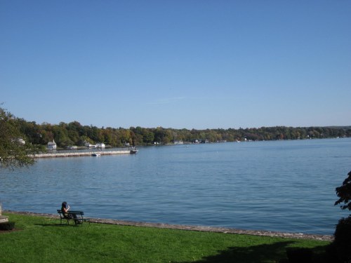 A serene lake view with a person sitting on a bench, surrounded by green grass and trees under a clear blue sky.