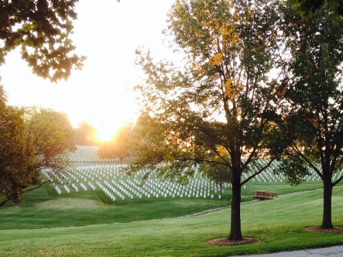 A serene sunset over a cemetery, with rows of white headstones and trees framing the scene.