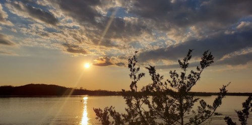 Sunset over a calm lake, with clouds and a silhouette of trees in the foreground.
