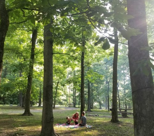 Two people sit on a blanket in a sunlit forest, surrounded by tall trees and greenery.
