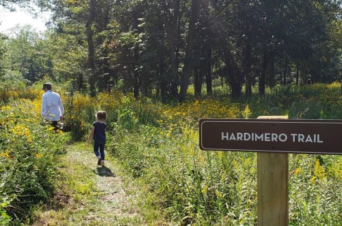 A person and a child walk along the Hardimero Trail, surrounded by tall grass and wildflowers in a sunny forest.