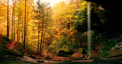 A serene forest scene with vibrant autumn foliage and a waterfall cascading from a rocky overhang.