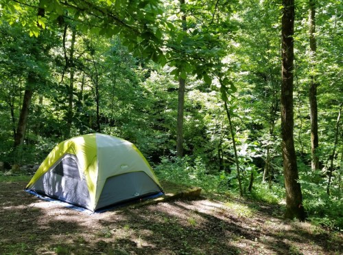 A yellow and gray tent set up in a lush green forest surrounded by trees and sunlight filtering through the leaves.