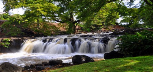 A serene waterfall cascades over rocks, surrounded by lush green trees and foliage.