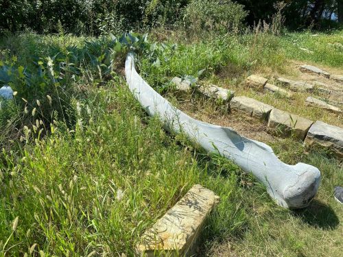 A large, curved concrete sculpture resembling a bone, surrounded by grass and stone pathways in a natural setting.