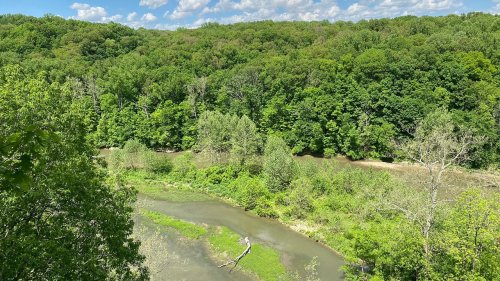 Lush green forest surrounds a winding river under a bright blue sky with scattered clouds.