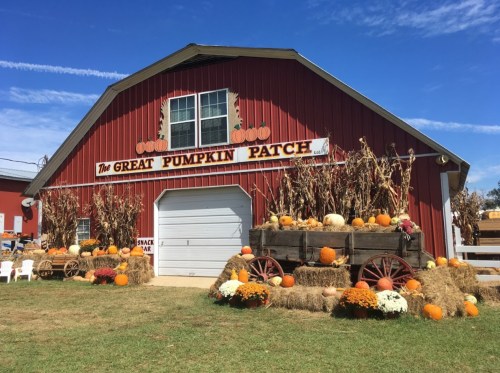 A red barn with "The Great Pumpkin Patch" sign, decorated with pumpkins, hay bales, and flowers under a blue sky.