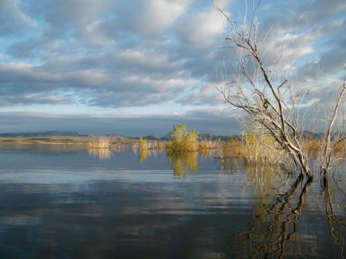 A serene lake scene with calm waters reflecting clouds and trees, under a partly cloudy sky.