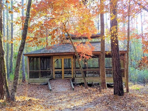 A rustic cabin surrounded by autumn foliage, with a wooden deck and screened porch in a forested area.