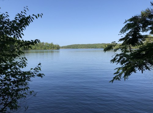 A calm lake surrounded by lush greenery under a clear blue sky.