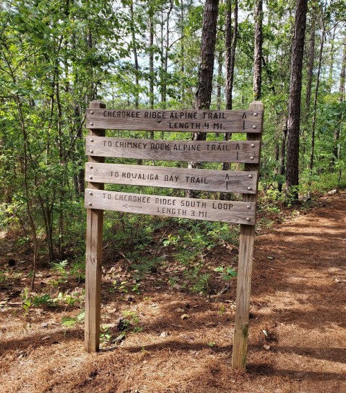 Wooden trail sign in a forest, listing directions and distances for various hiking trails.