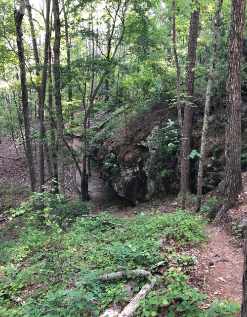 A wooded trail winding through lush greenery and rocky terrain in a serene forest setting.