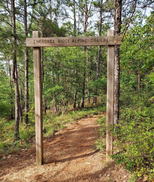 Wooden sign marking the Cherokee Ridge Alpine Trailhead, surrounded by lush green trees and a dirt path.