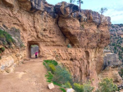 A person stands on a dirt path near a rock formation with a natural arch, surrounded by greenery and canyon views.