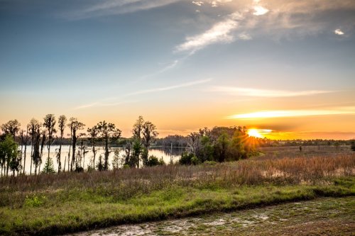 Sunset over a tranquil lake, with silhouettes of trees and grassy foreground under a colorful sky.