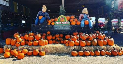 A display of bright orange pumpkins stacked with hay, featuring two scarecrows sitting on top at Apple Annie's.