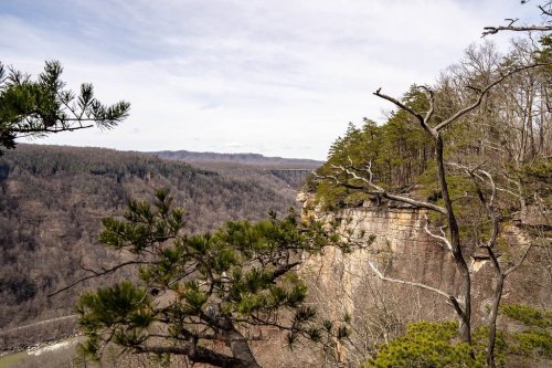 A scenic view of a canyon with rocky cliffs, sparse trees, and distant mountains under a cloudy sky.