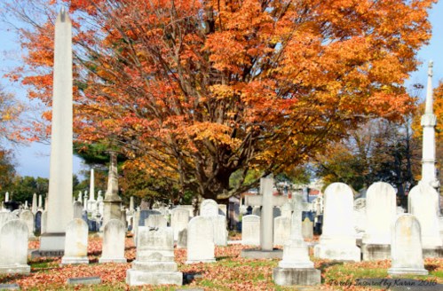 A cemetery with white gravestones surrounded by vibrant autumn foliage and a large orange tree.