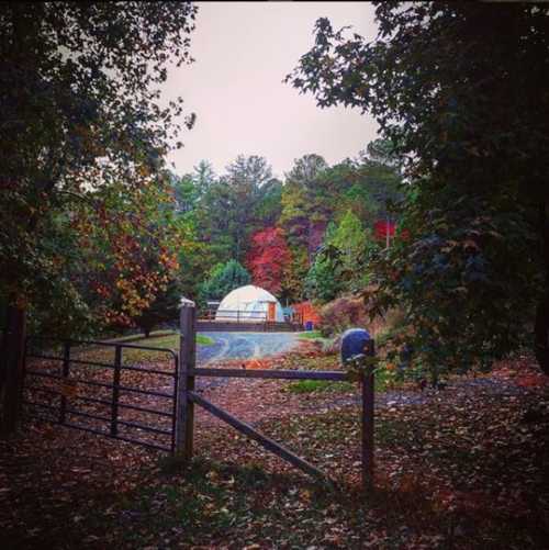 A serene landscape featuring a dome structure surrounded by trees with autumn foliage and a gravel path.
