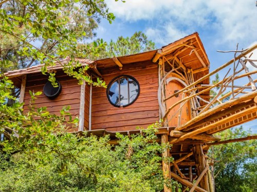 A whimsical treehouse made of wood, featuring round windows and a bridge, surrounded by lush greenery.
