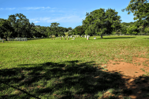 A grassy cemetery with several gravestones under a clear blue sky and scattered trees.