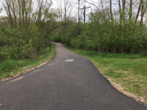 A paved path through a green, wooded area, with a cross symbol marked on the surface. Trees line both sides.