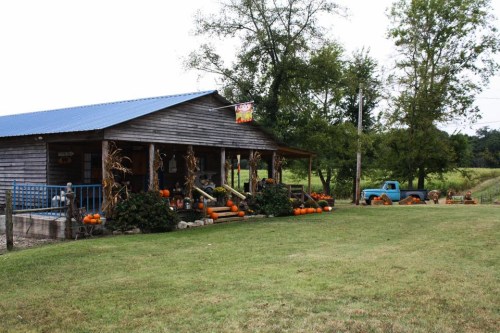 A rustic wooden farmhouse with pumpkins on the porch and a vintage truck parked nearby, surrounded by greenery.