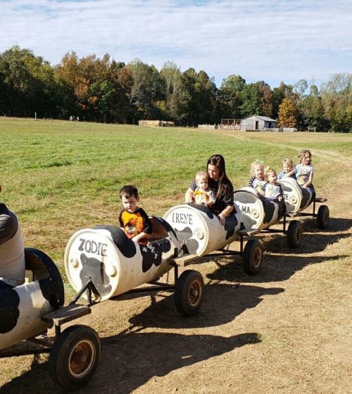 Children riding a cow-themed train on a sunny day in a grassy field, with trees in the background.