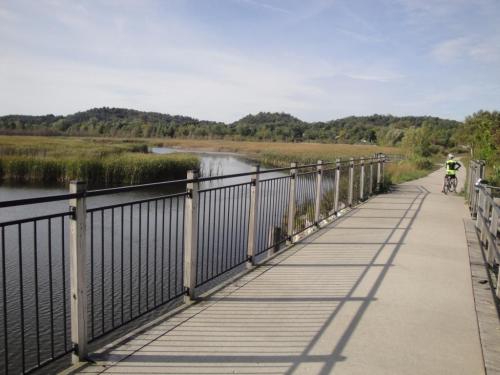 A scenic pathway along a calm river, with lush greenery and a cyclist enjoying the view on a sunny day.