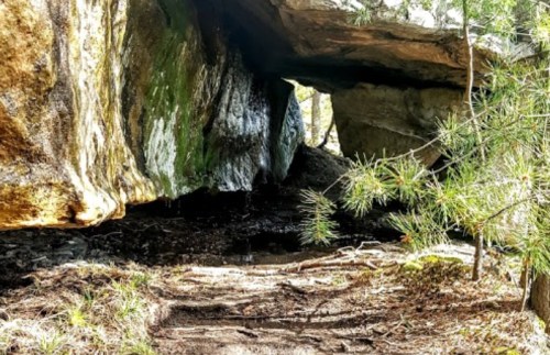 A rocky overhang in a forest, with greenery and a dirt path leading into a shaded area beneath the boulders.