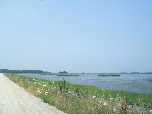 A serene landscape featuring a gravel road alongside a calm waterway, with green grass and distant islands under a clear sky.