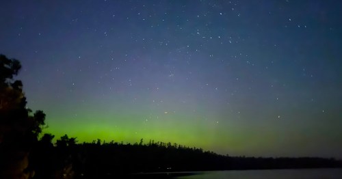 The northern lights shine green against a star filled sky above the forested shoreline of a boundary waters lake in Minnesota.