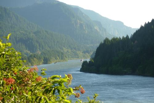 A serene river flows through lush green mountains, with trees lining the banks under a clear blue sky.