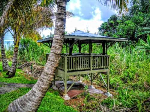 A wooden gazebo surrounded by lush greenery and palm trees, overlooking a scenic landscape.