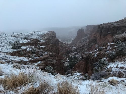 A misty landscape of rocky cliffs and snow-covered ground, with sparse vegetation in a canyon setting.