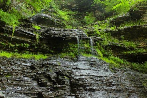 A serene waterfall cascading down rocky cliffs, surrounded by lush green foliage and moss.