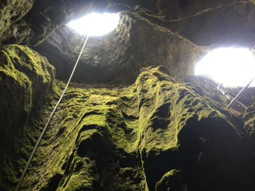 View looking up from inside a rocky cave, with light streaming through two openings and moss-covered walls.