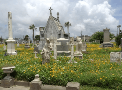 A cemetery with ornate gravestones and statues surrounded by vibrant yellow flowers under a cloudy sky.