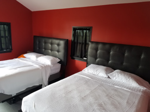 A room with two beds featuring black upholstered headboards and red walls, with windows covered by dark curtains.