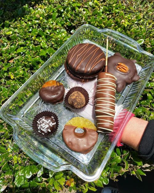 A clear tray filled with assorted chocolate-covered treats, including cookies, candies, and a chocolate-dipped stick.