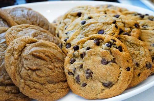 A plate of freshly baked cookies, including chocolate chip and soft, round cookies, arranged neatly.