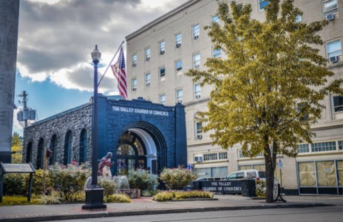 Exterior view of the Tug Valley Chamber of Commerce building, featuring a statue and a tree, with an American flag nearby.